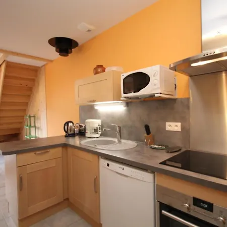 Mont-dore Avec Terrasse, Proche Centre, 6 Pers. - Fr-1-608-41 Dağ evi *