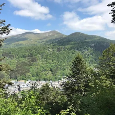 Mont-dore Avec Terrasse, Proche Centre, 6 Pers. *